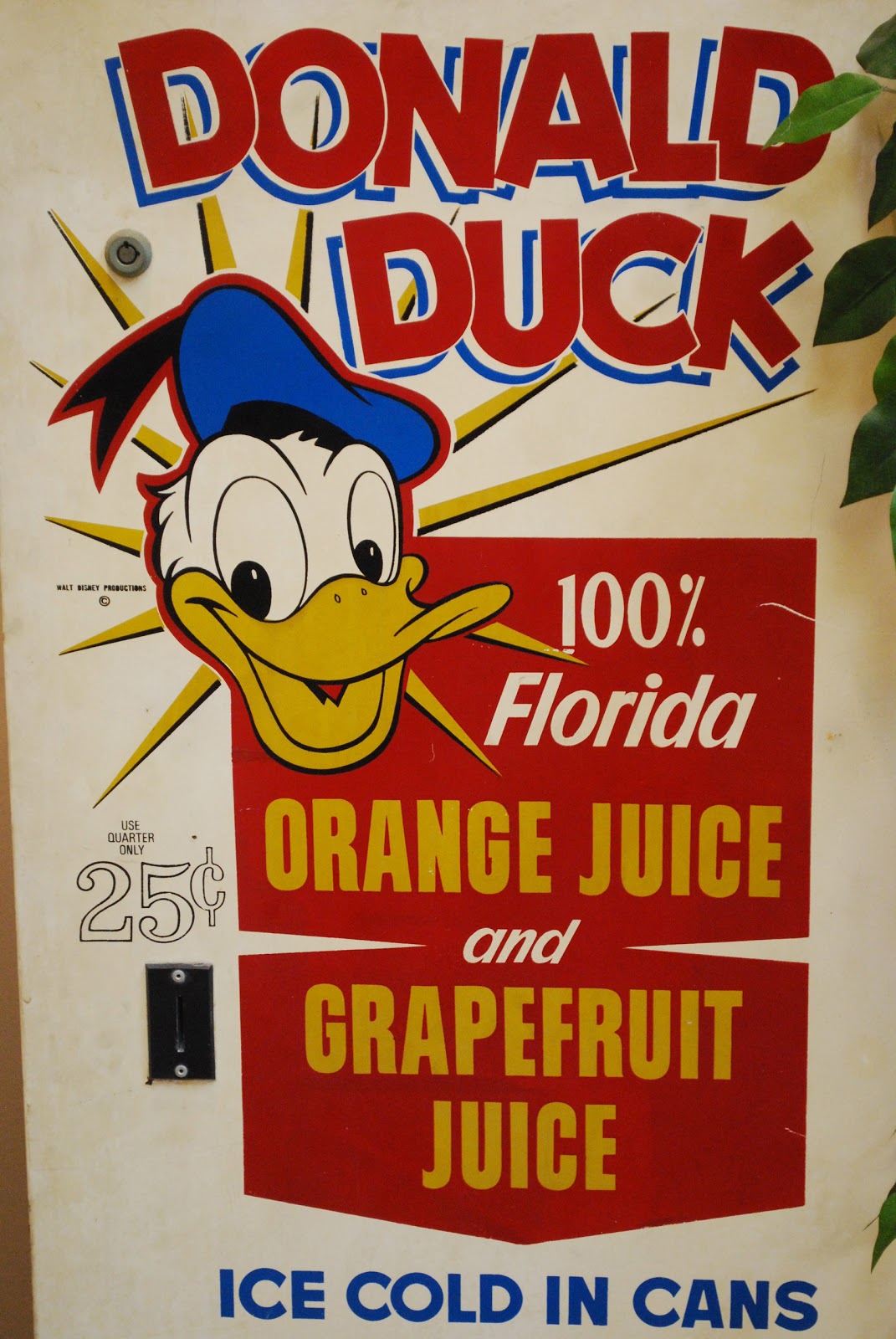 mamascout orange juice factory tour