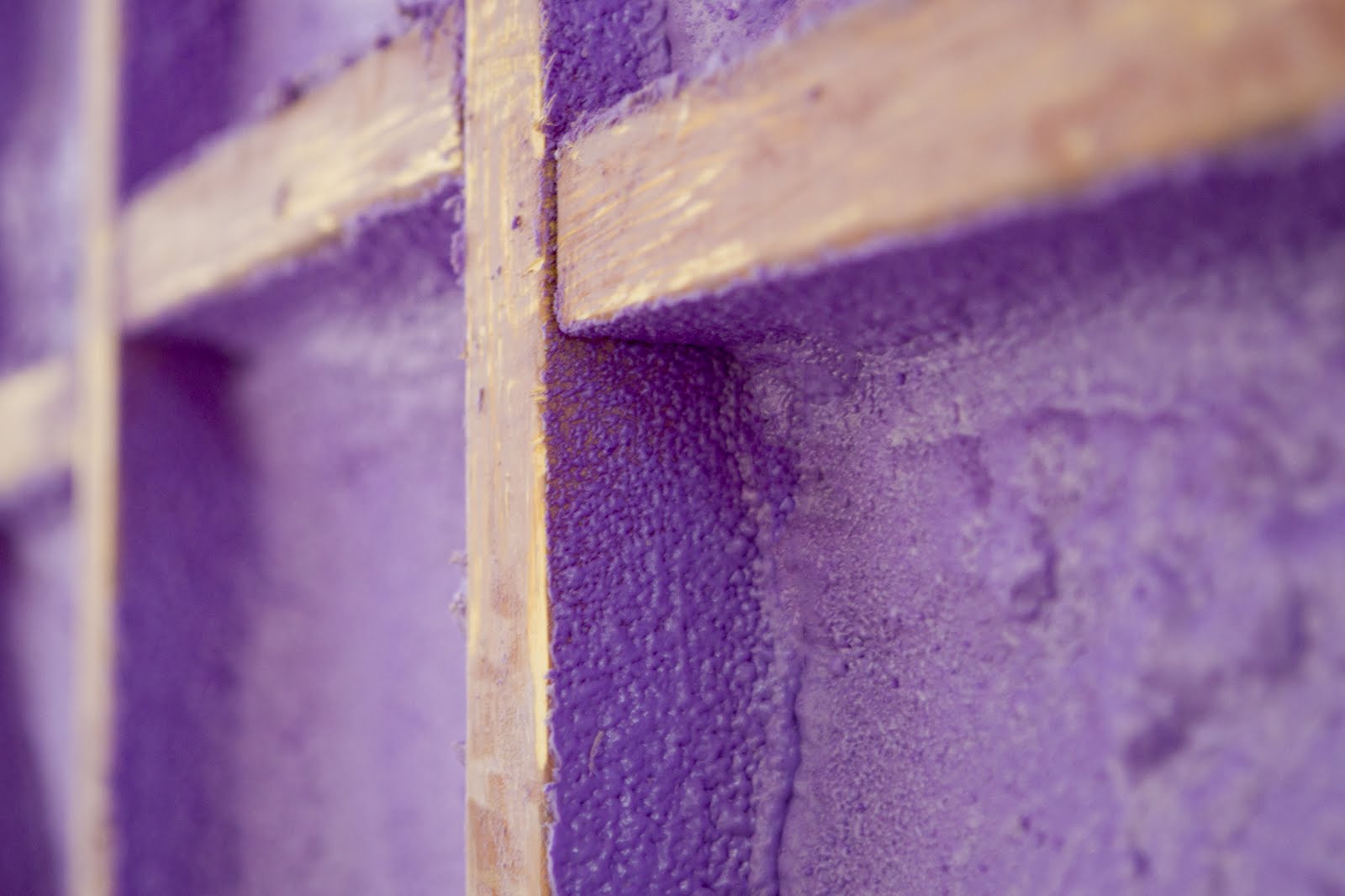 Purple Foam abbydell photography