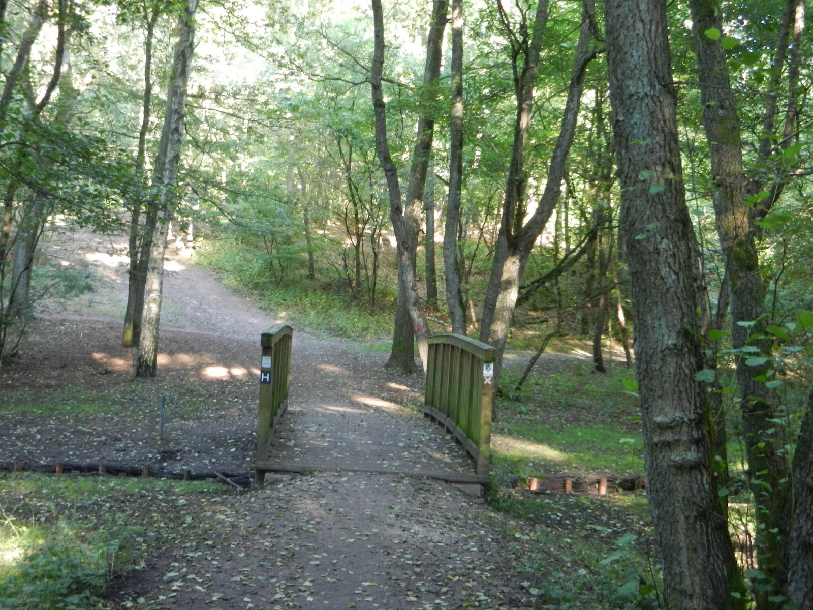 Bento Lunch Blog Kritik Kofookoo Sushi All You Can Eat Hamburg