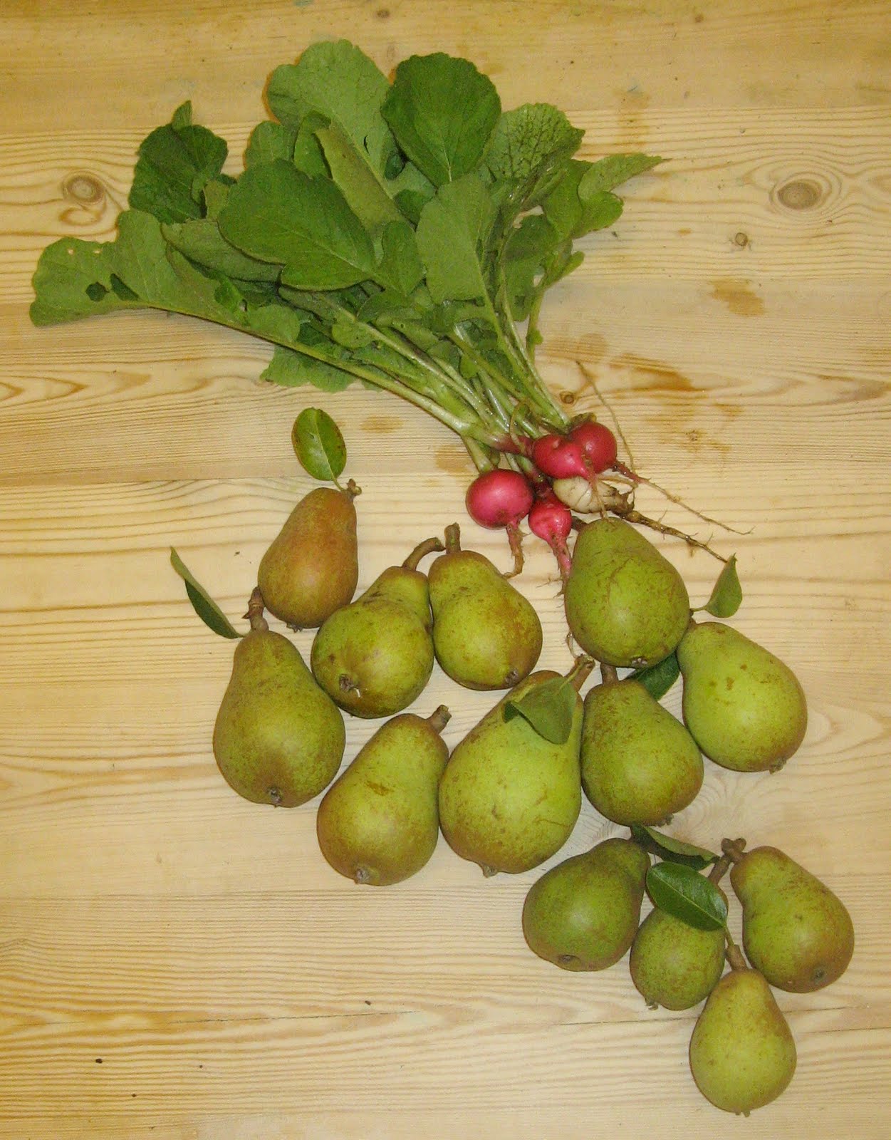 Are all pears edible?