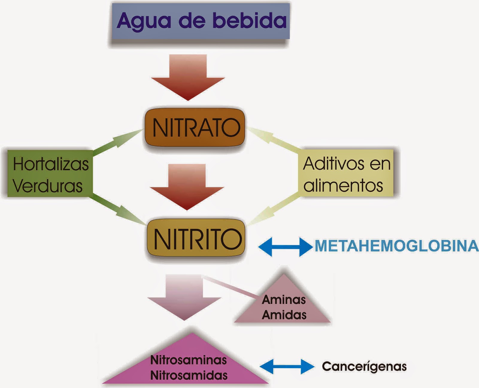 Nitrito positivo no exame de urina