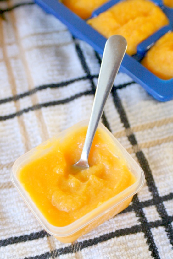 Butternut Squash and Rotisserie Chicken Baby Food Jordan's Easy