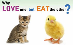 animal-compassion-ad.jpg