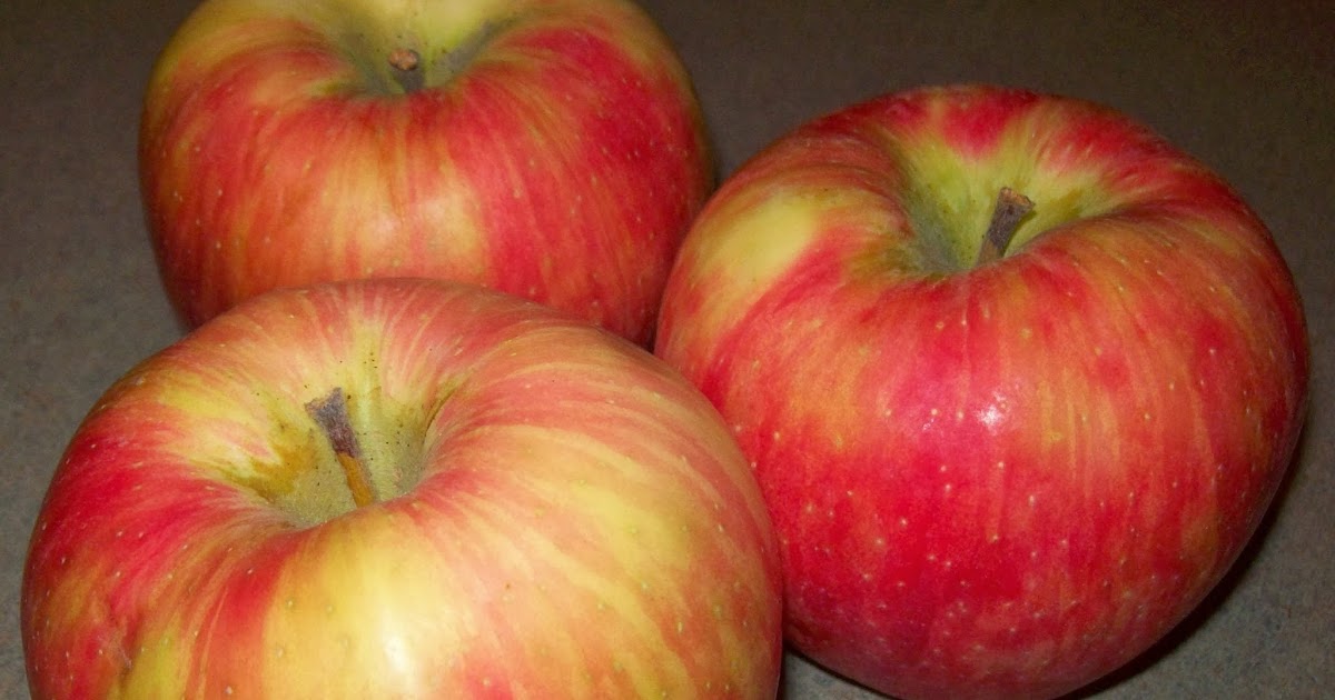 April's Homemaking Apple Season Recipes Apple Slaw, Cinnamon Apples