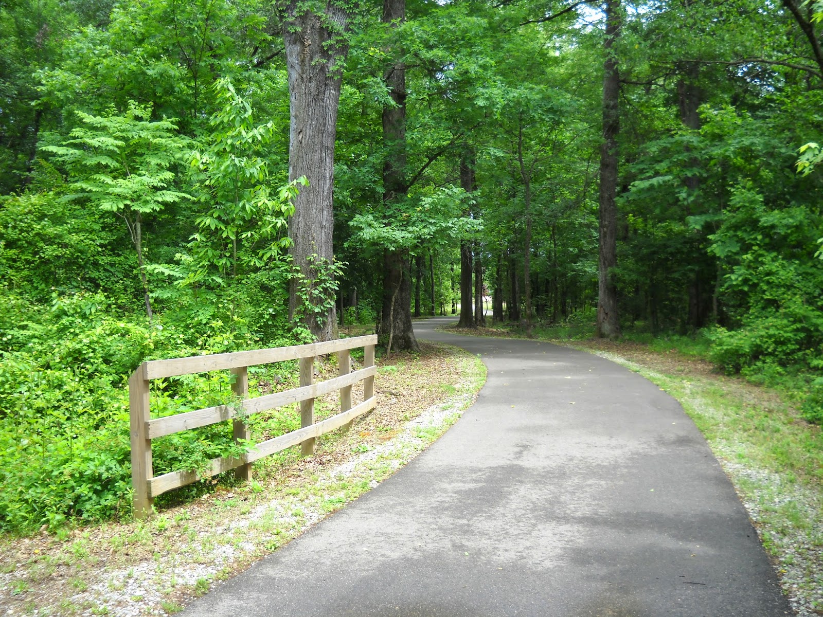 Divers and Sundry Wolf River Greenway