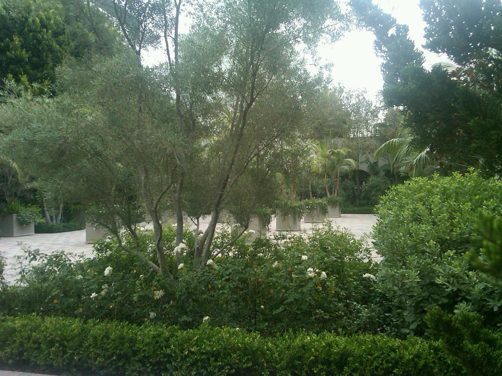 IMG00165-20110608-1025.jpg?width=300