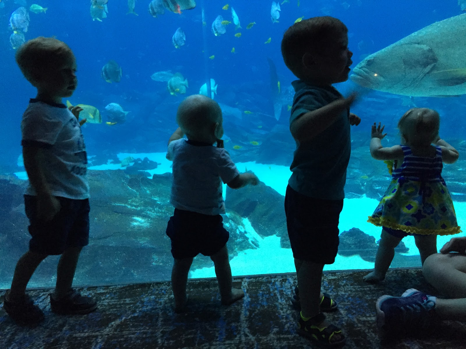 Out of Edwards Summer in Atlanta What to do with Toddlers.