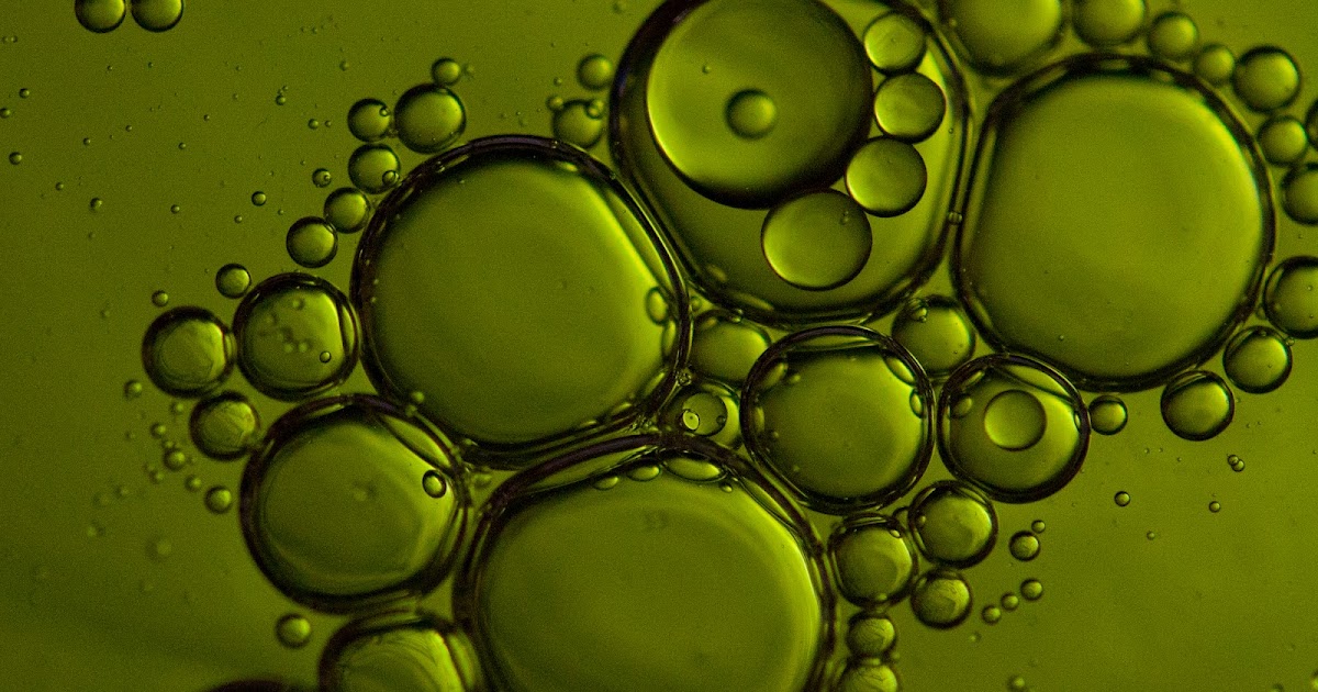 Through My Lens Bubbles..........