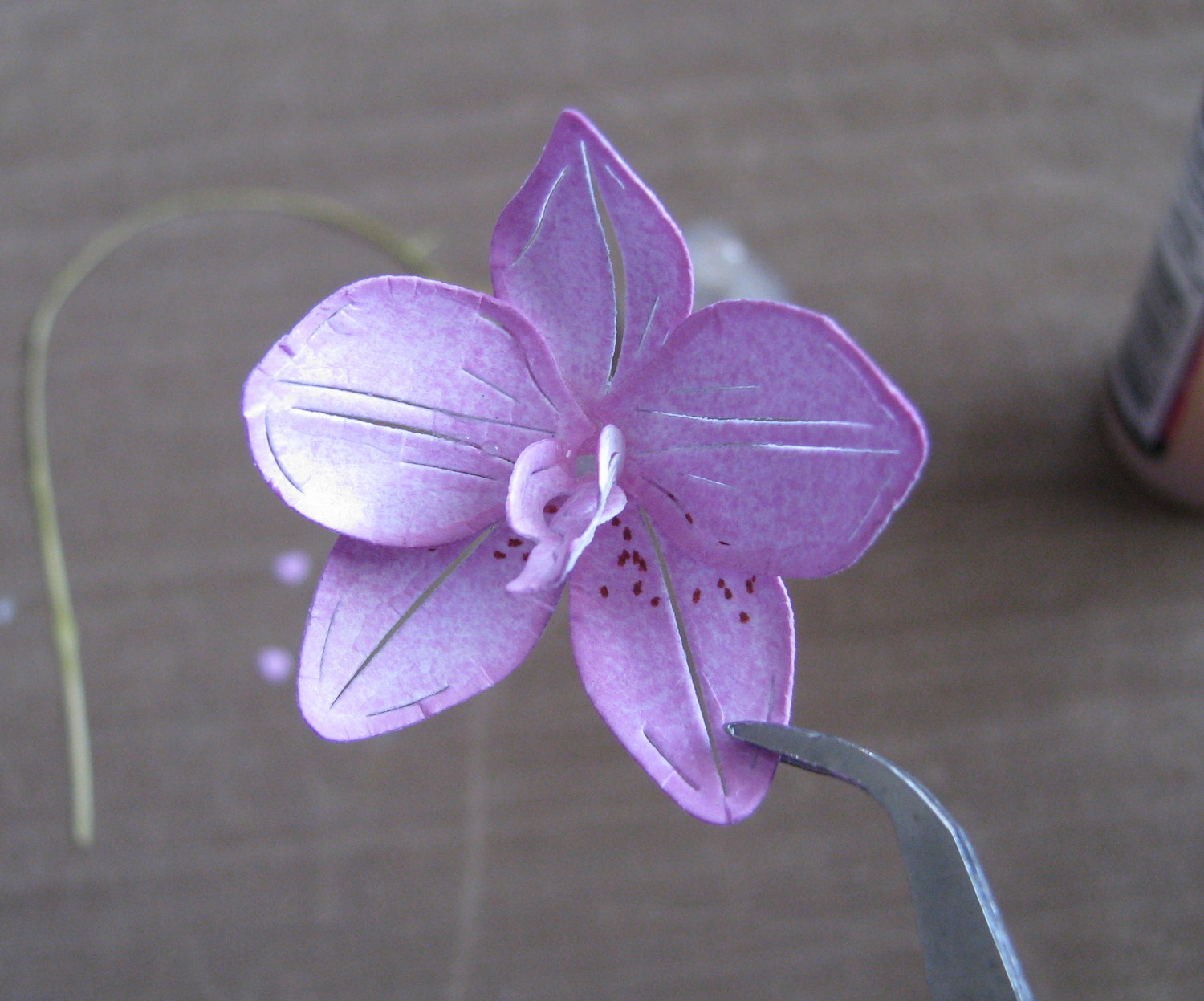 Orchid Tutorial Cheery Lynn Designs Inspiration Blog