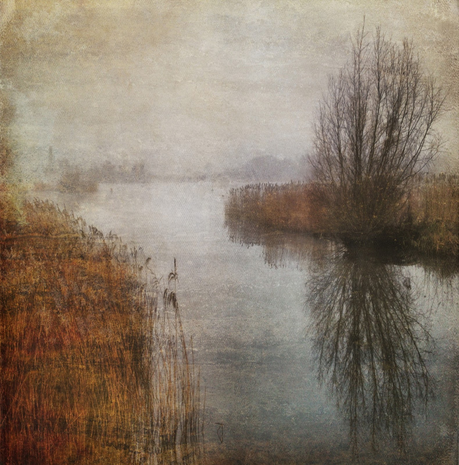 Sarah Jarrett Artist Windows onto my World