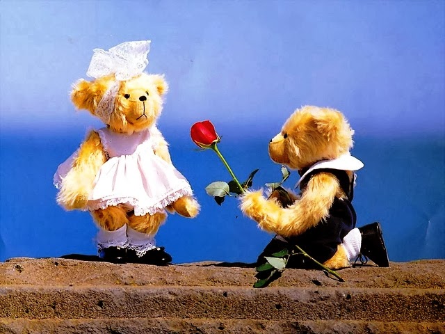 valentine week teddy day