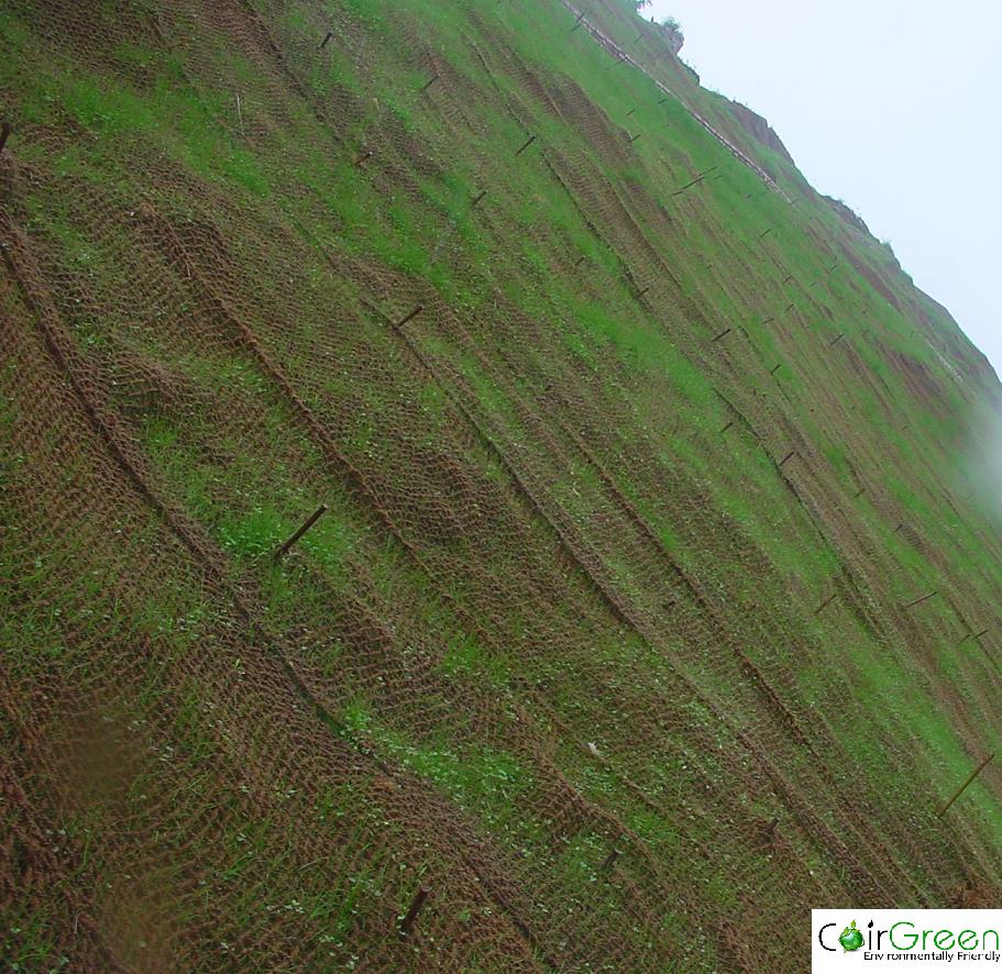 CoirGreen Using Coir Geotextiles for soil erosion