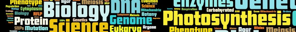 www.worldofbiologyformembers.blogspot.com