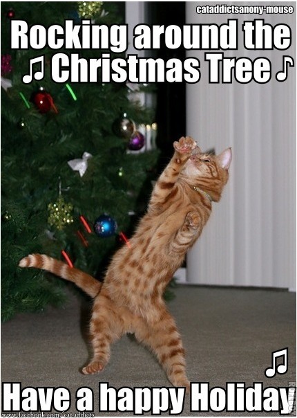 the eco cat lady speaks december 2012 who sang rockin around the christmas tree