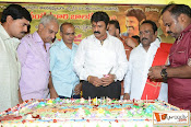 balakrishna Birthday Celebrations-thumbnail-10