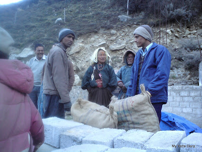 Famous potatoes of the Mana village near Badrinath town in Uttarakhand