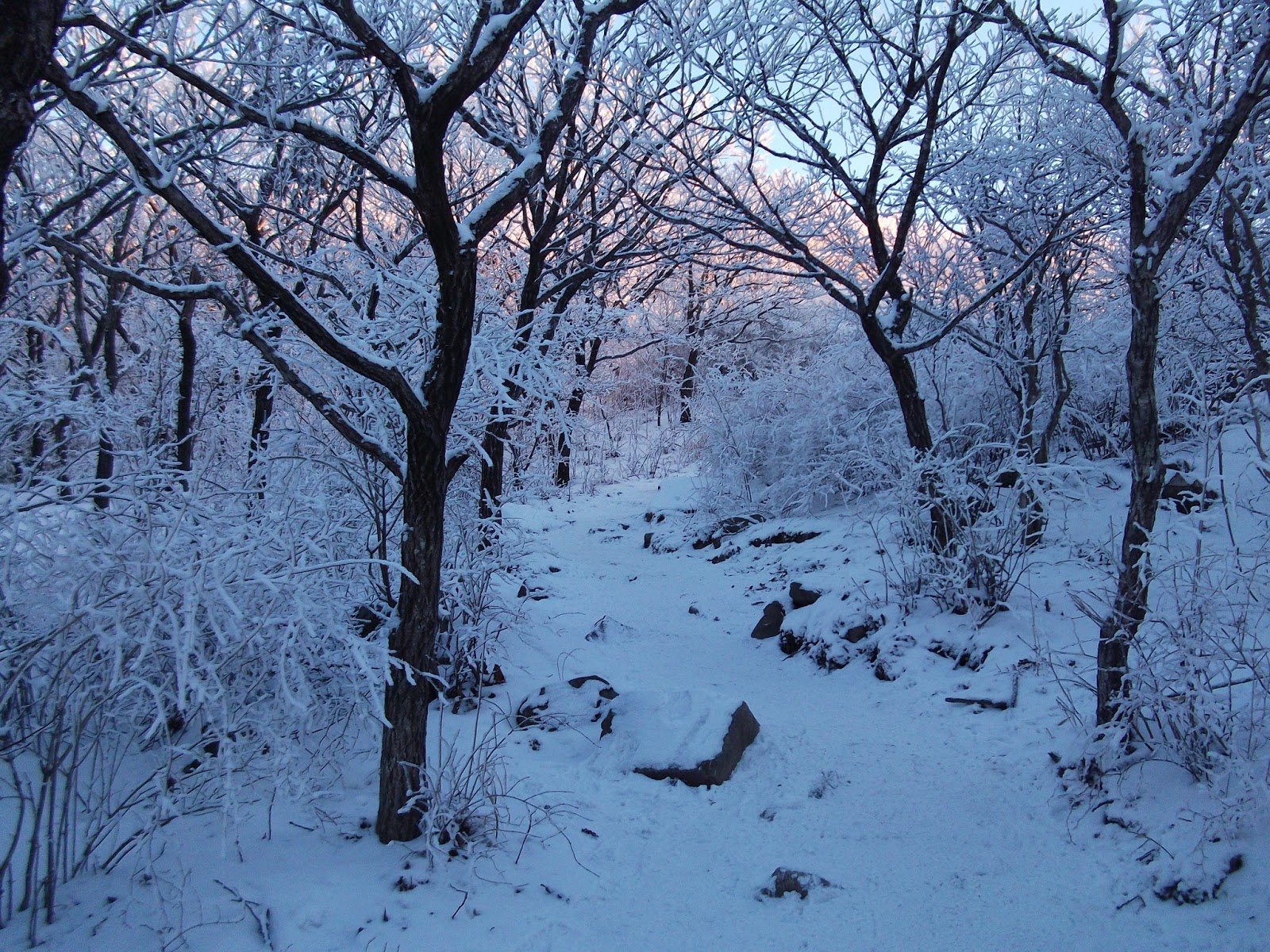 Korea's 4 Seasons Koreabridge
