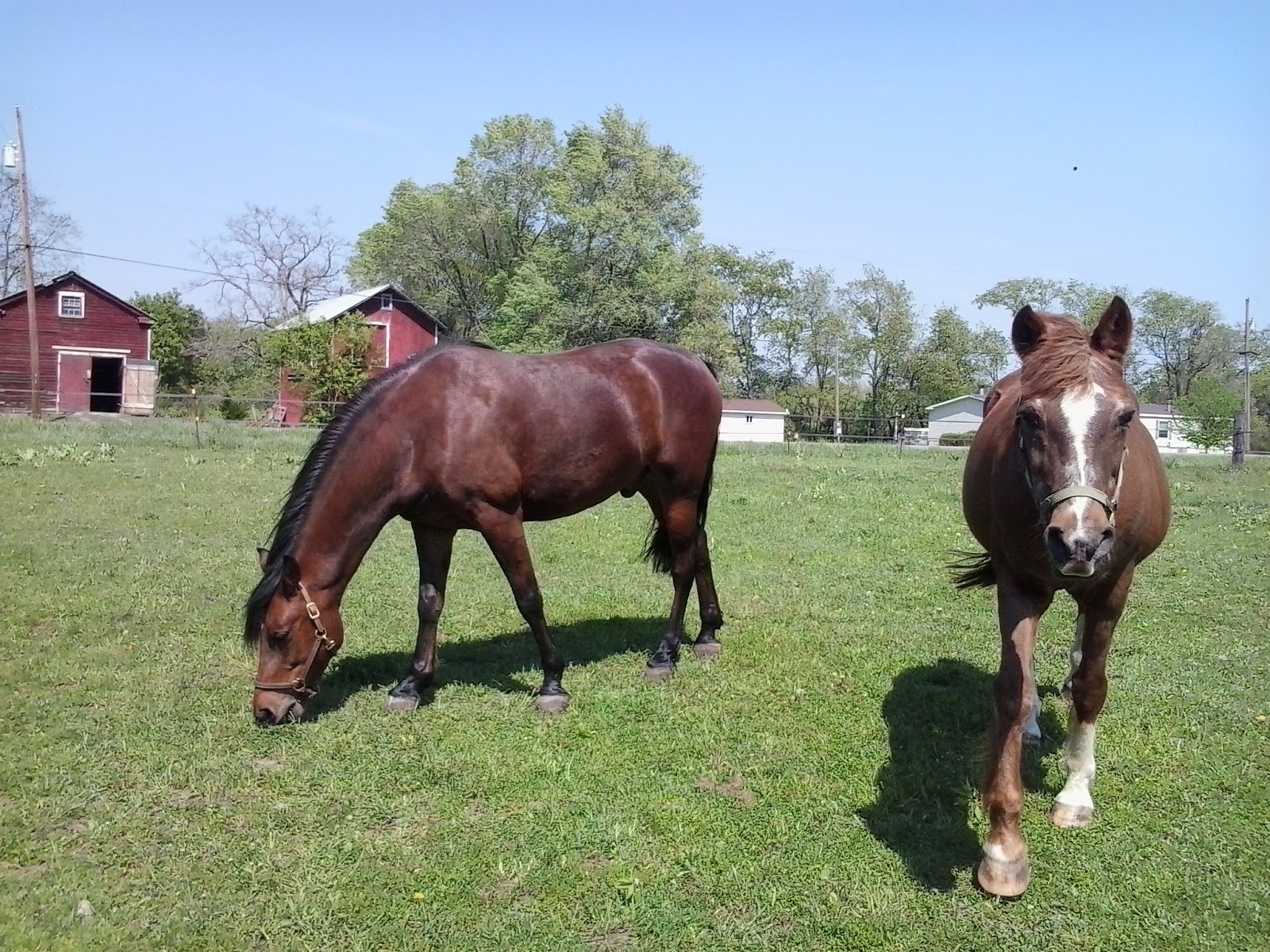 Bad Boy - Furniture, Appliances, TVs, Electronics and