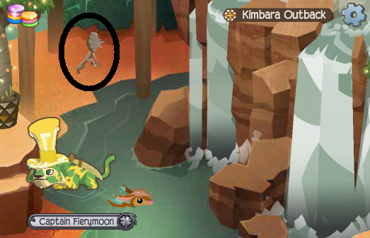 Animal Jam Community Blog Kimbara Outback Journey Book Cheats Animal Jam Community Blog Kimbara Outback Journey Book Cheats