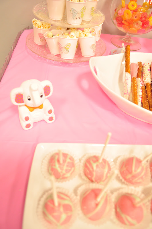 906 E. Chic Elephants, Pinwheels, and Butterflies {The sweetest baby