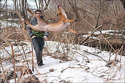 Click on the Image for a Larger View funny_picture_best
