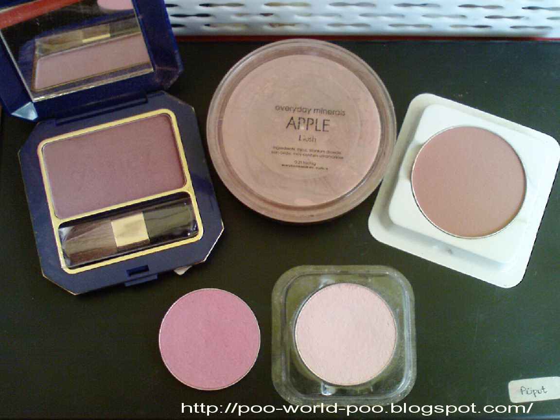 phu s world in searching for pink blush phu s world in searching for pink blush