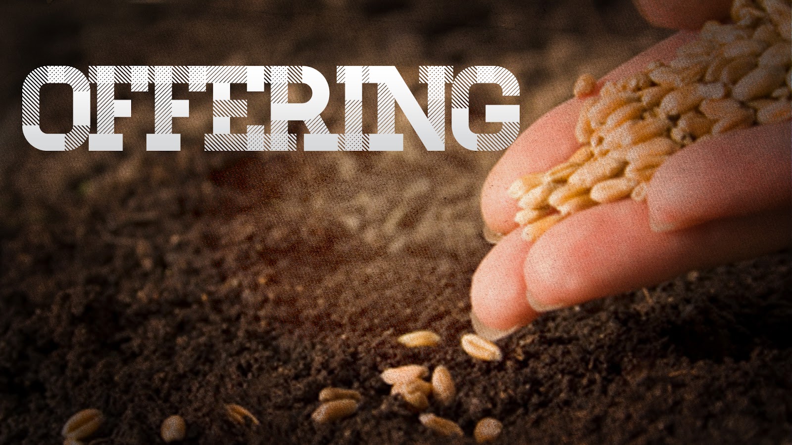 LDT 線上奉獻系統 | LDT 領袖門訓宣教計劃