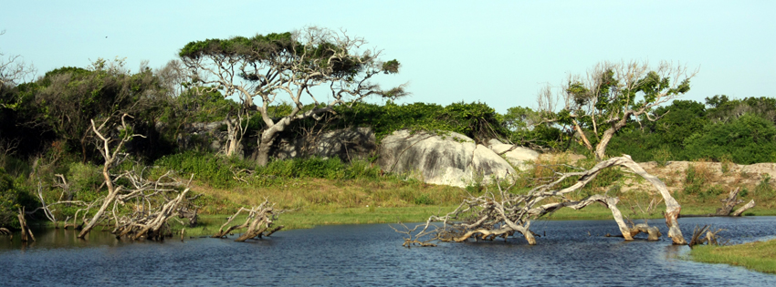 Facebook Cover Photos [Banner] | Free Download: Nature Facebook Covers