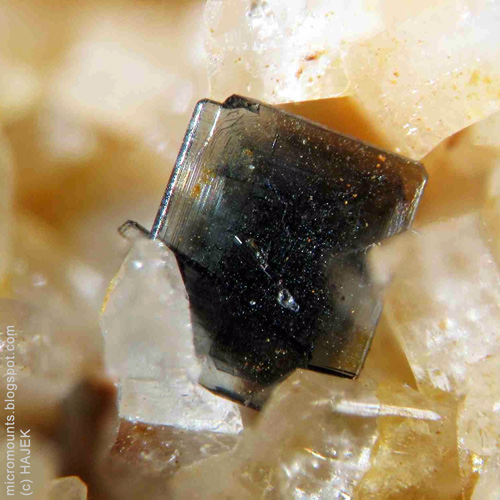 Micromounts Das Blog Fur Liebhaber Kleinformatiger Mikromineral