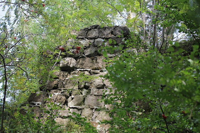 Naturwunder Wanderung Von Der Koitsche Zum Hochwald Zittauer