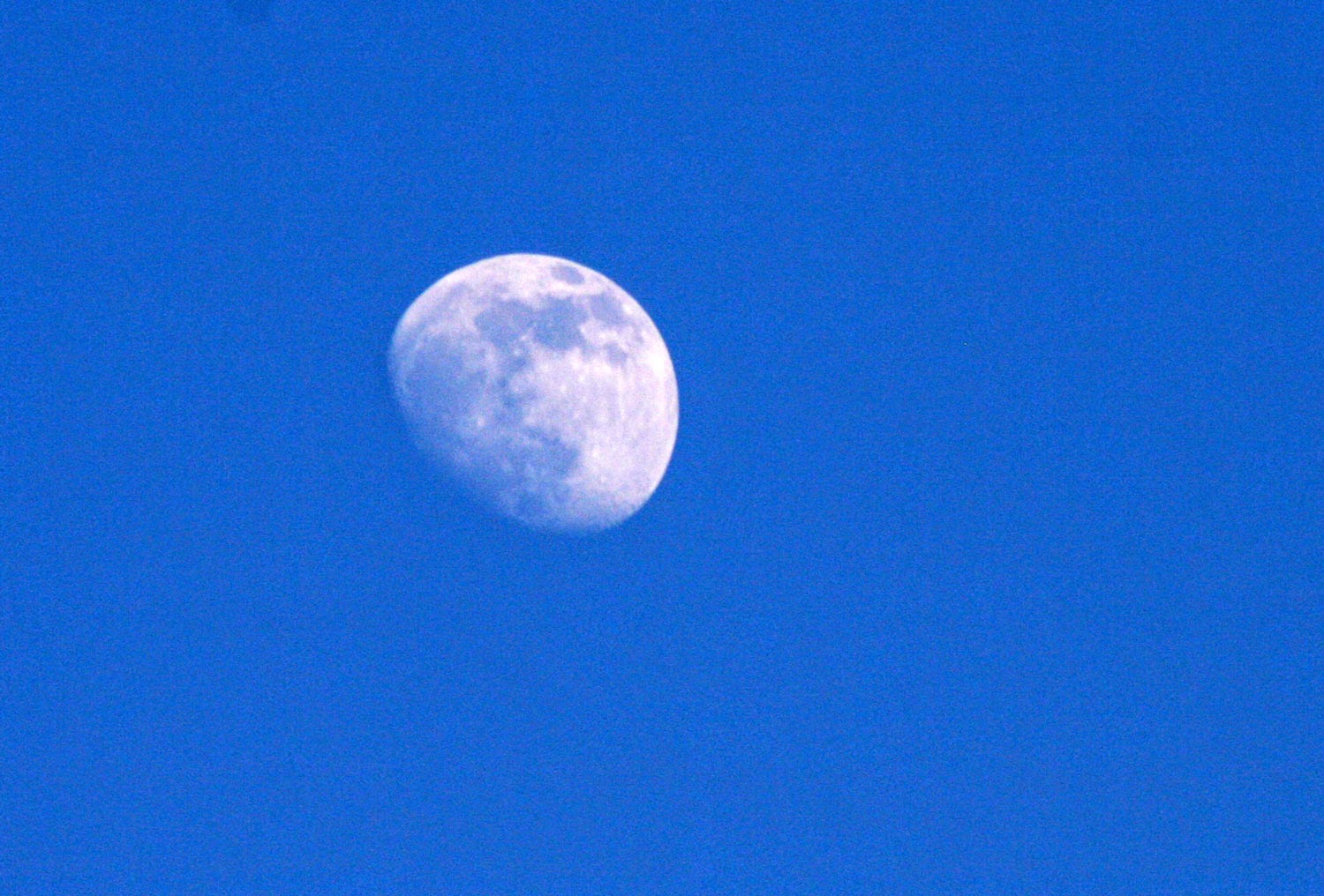 Gorgeous moon in a rich blue sky Gorgeous moon in a rich blue sky