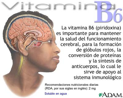 en que alimentos se encuentra la vitamina b6 perfil cu 225 ntico personal septiembre 2011 en que alimentos se encuentra la vitamina b6 perfil cu 225 ntico personal septiembre 2011