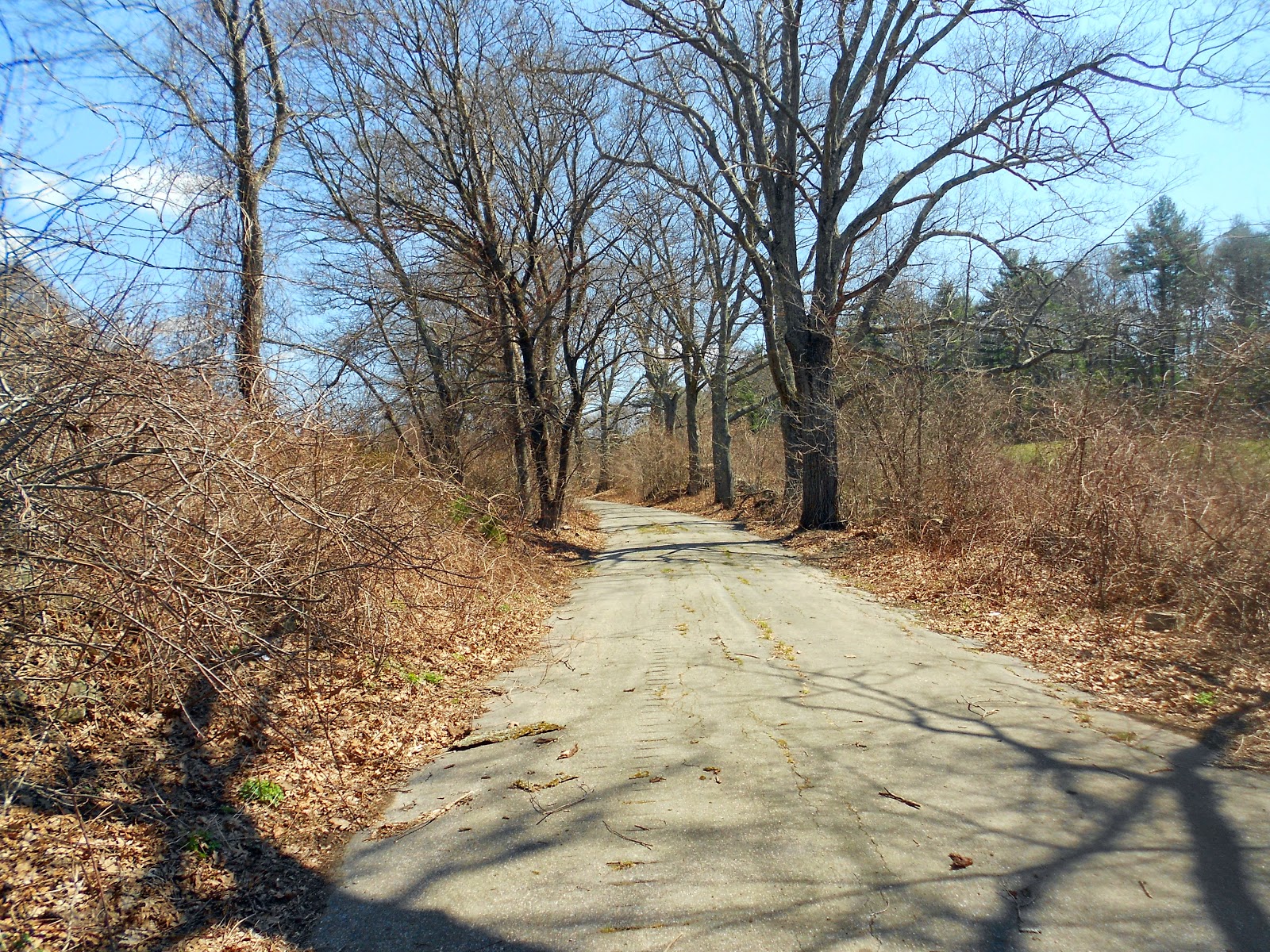 Breakheart Outdoors Bay Circuit Trail Hike Map 9 Rocky Narrows