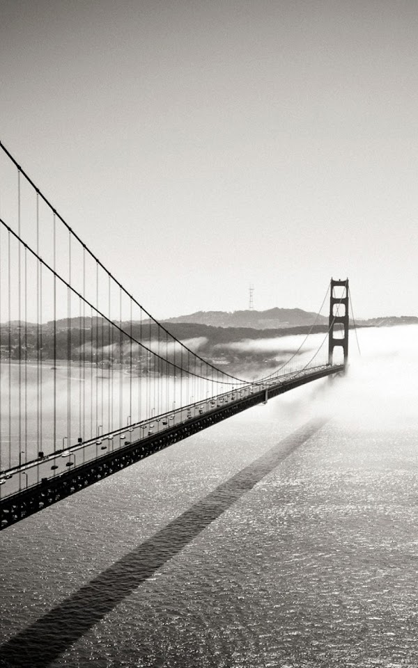 Black And White Highway Bridge Android Wallpaper