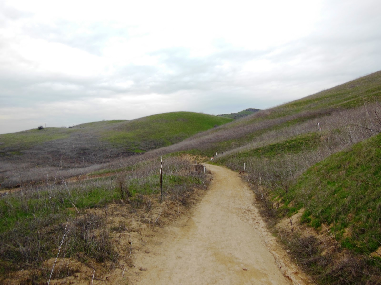 Brian and Ashley's Hiking Blog! Chino Hills State Park (Telegraph Canyon)