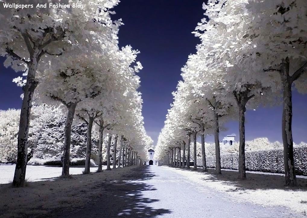 Top Beautiful Winter Snow Wallpapers Around The World