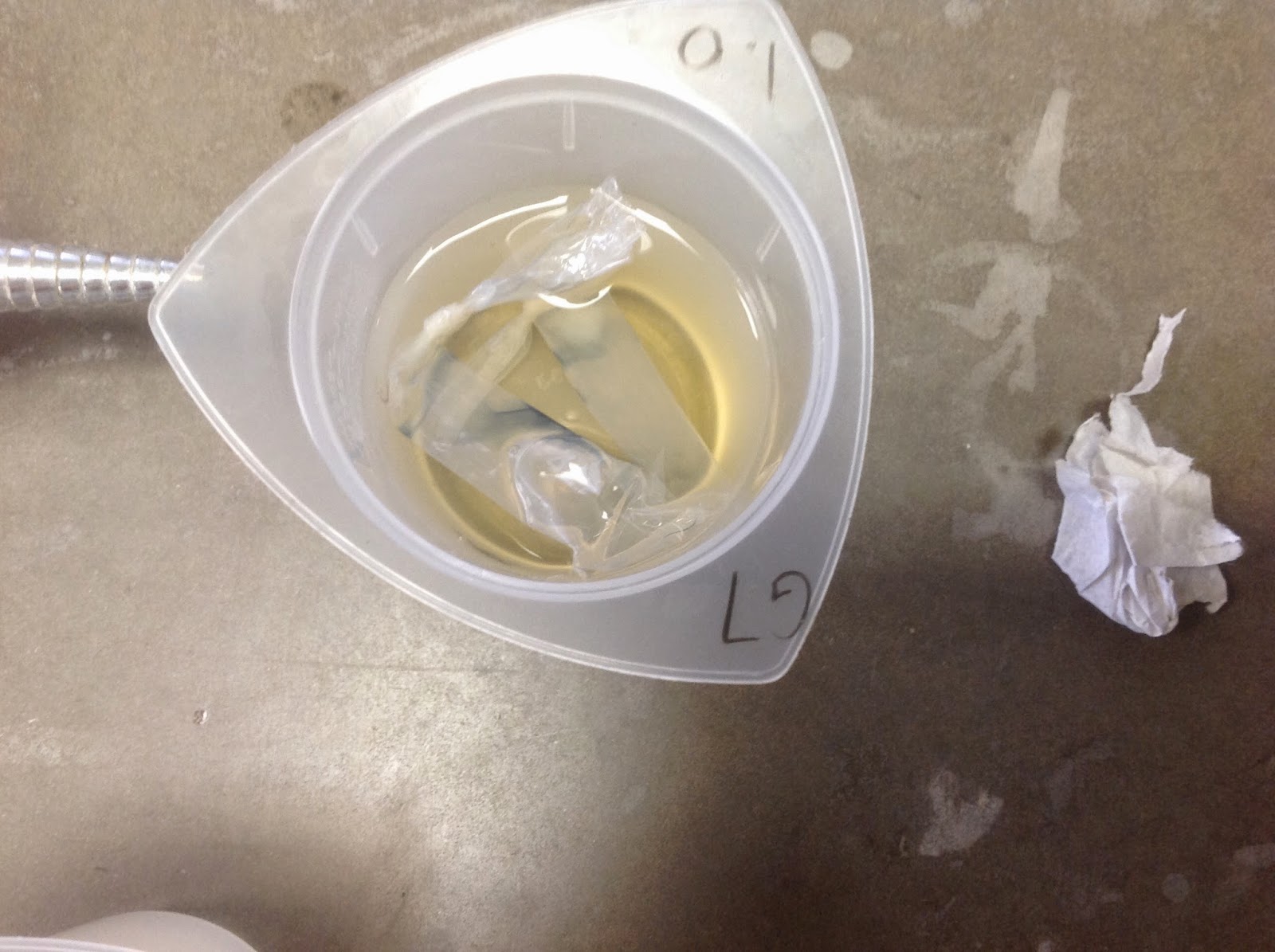 Biology Honors Blog Dialysis Tubing Lab