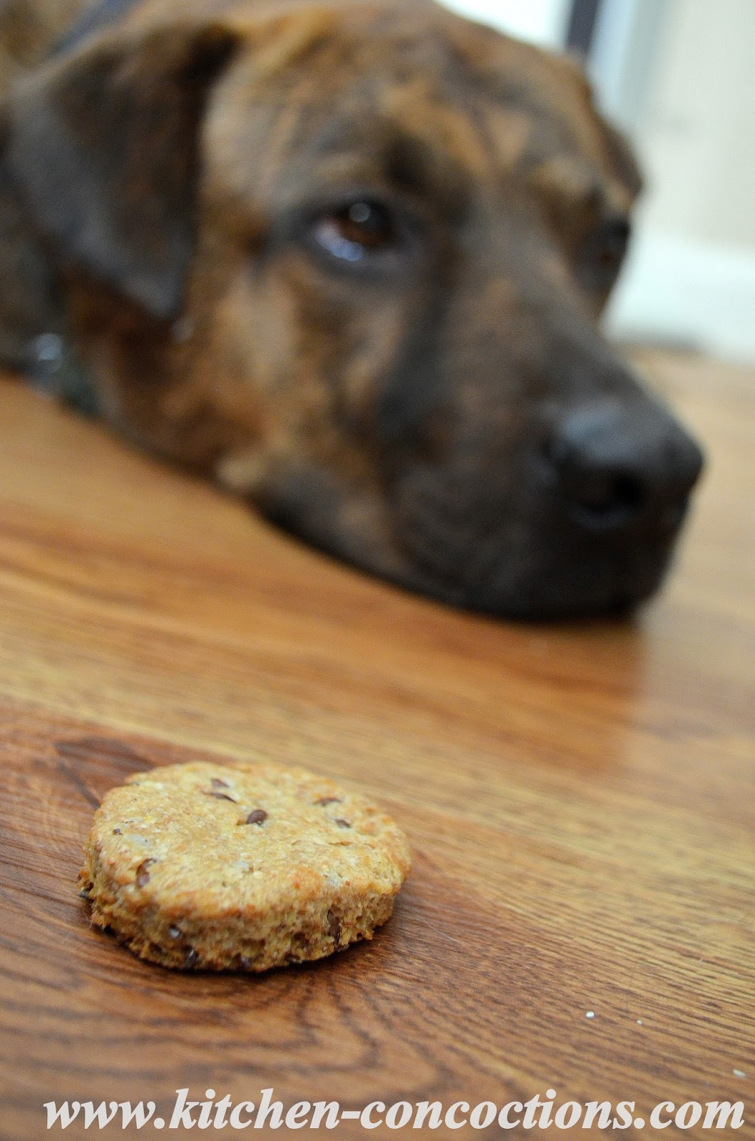 Homemade Flaxseed Dog Biscuits Kitchen Concoctions