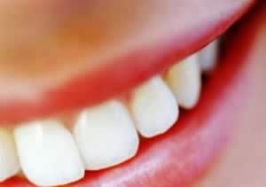 Найден способ отращивать полностью разрушенные зубы