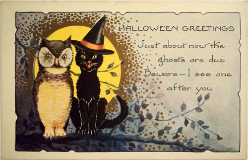 the cat ladies cat owl halloween greetings cover lettes