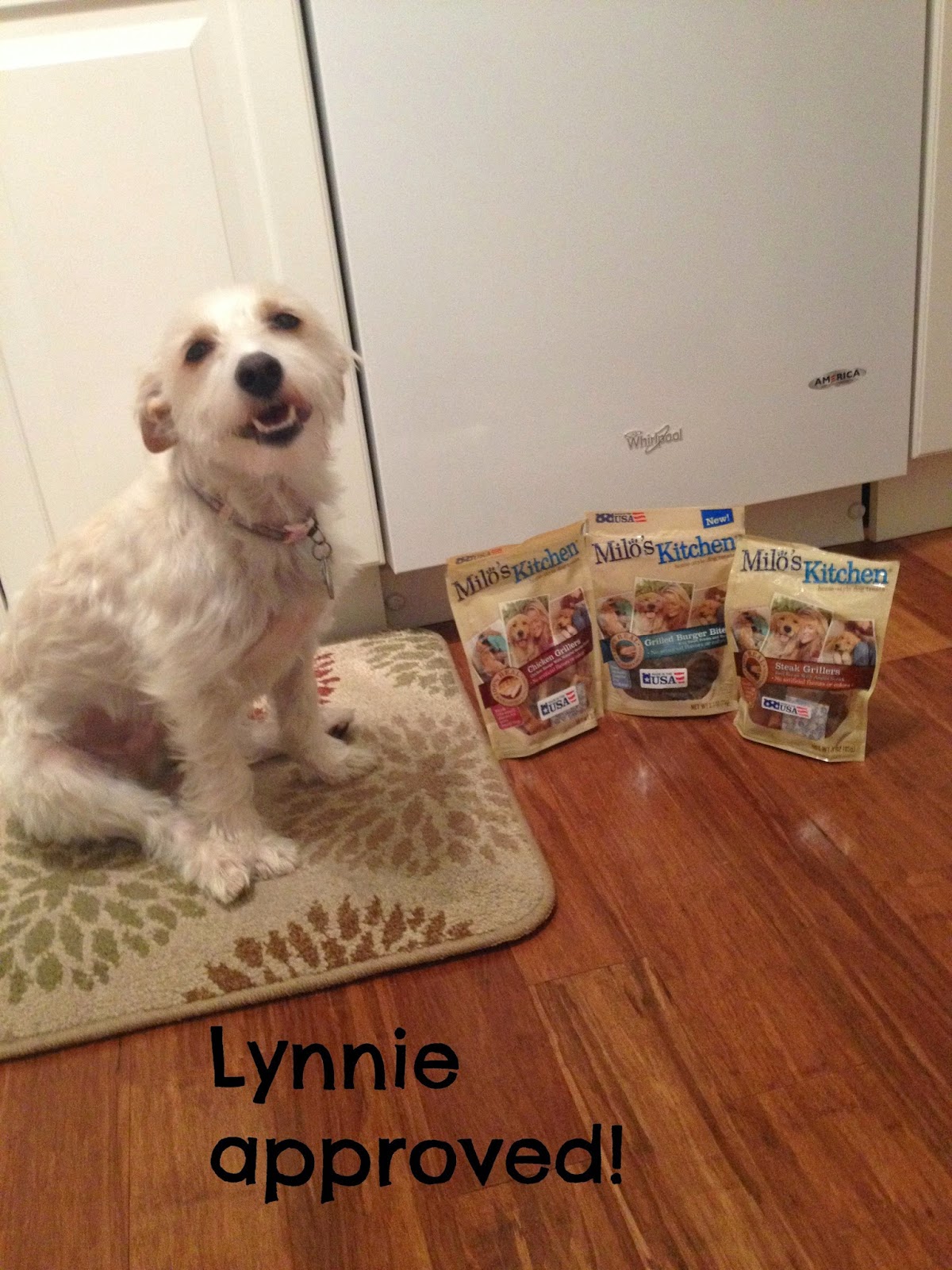 Capital T Akull Black Mozart