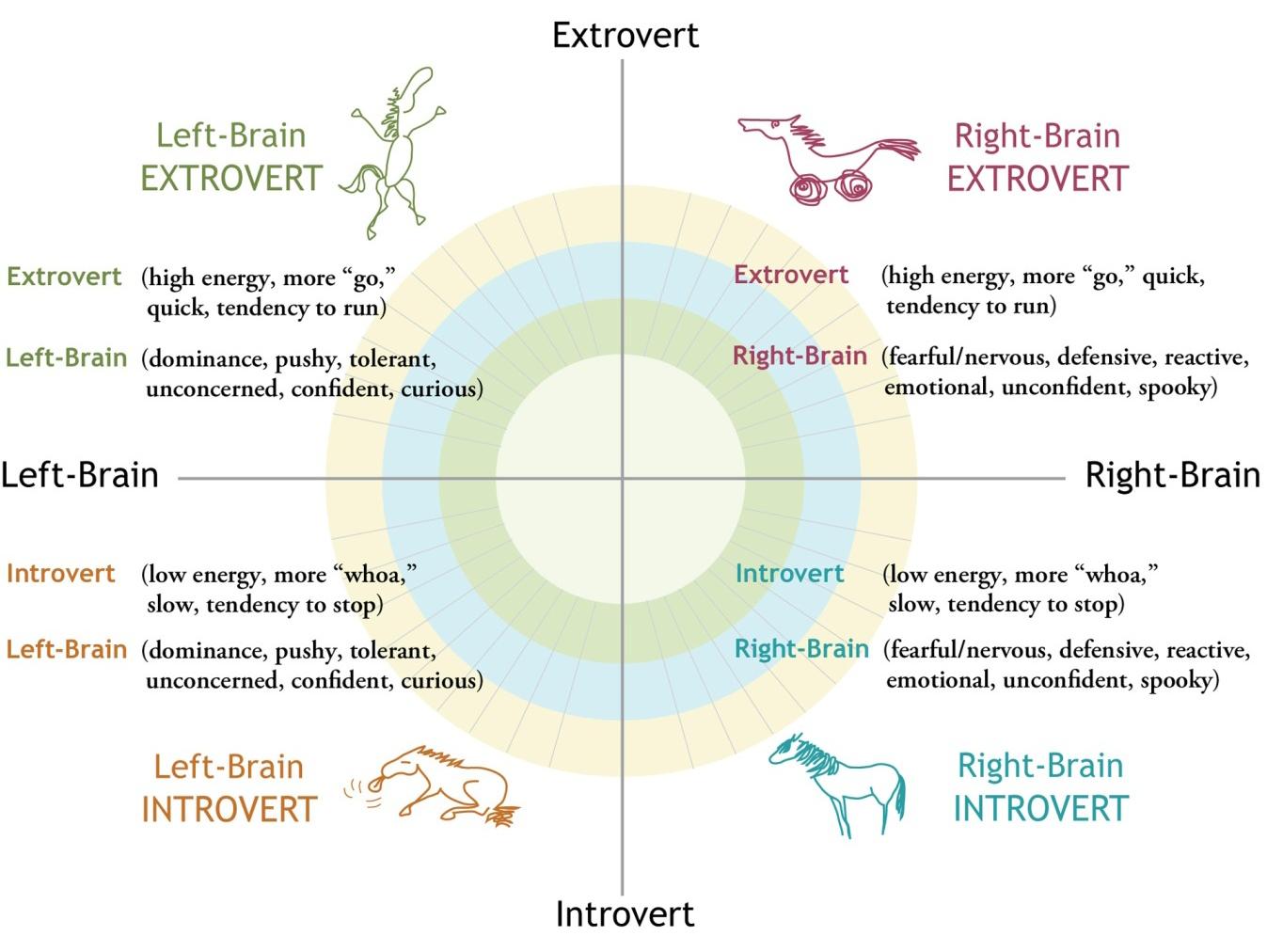 do what you love love what you do horsenality horsenality chart