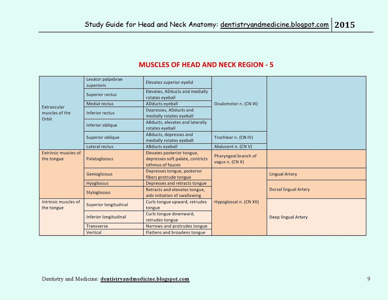 STUDY GUIDE FOR HEAD AND NECK ANATOMY Muscles of Head and Neck Region