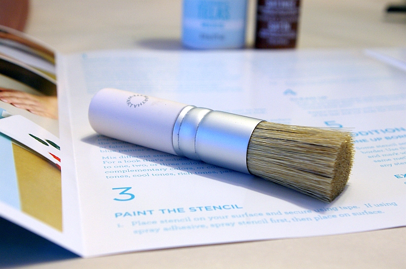 Stenciled Pencil Skirt Tutorial With Martha Stewart Paints Tools