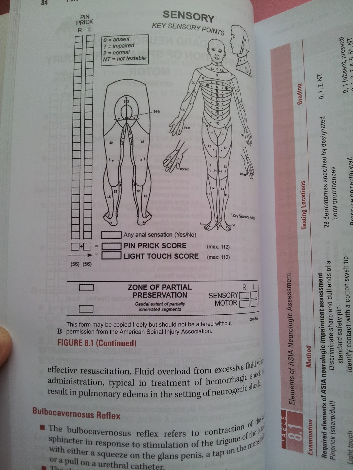 download the sense and non sense of