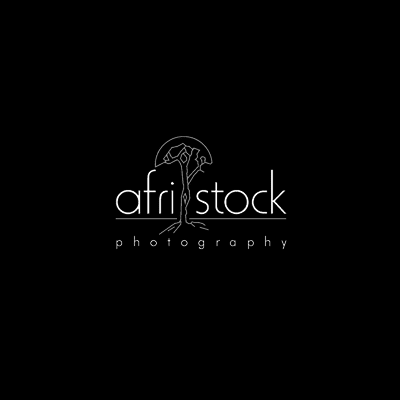 Stock Photography Sites on Stock Photography Site Logo Releated With Landscape  Social