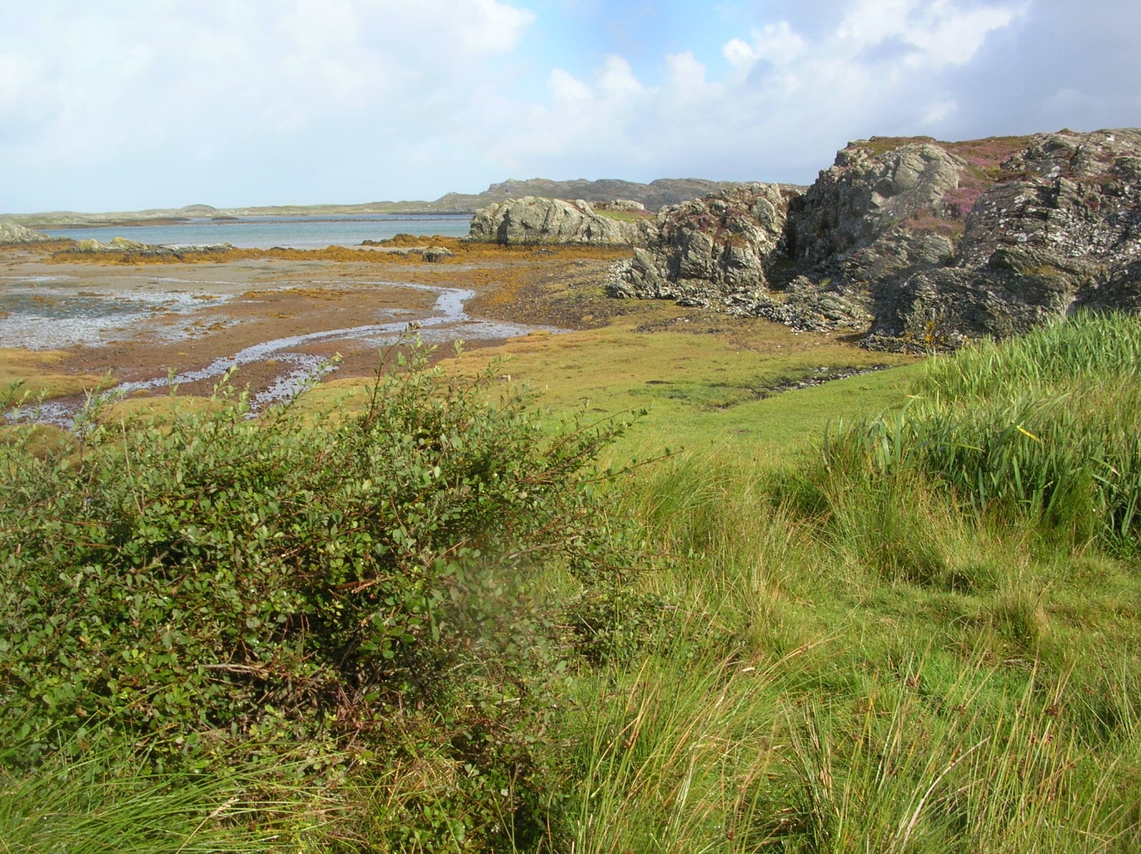 A lifetime of Islands Island 172 Oronsay, Colonsay, Inner Hebrides
