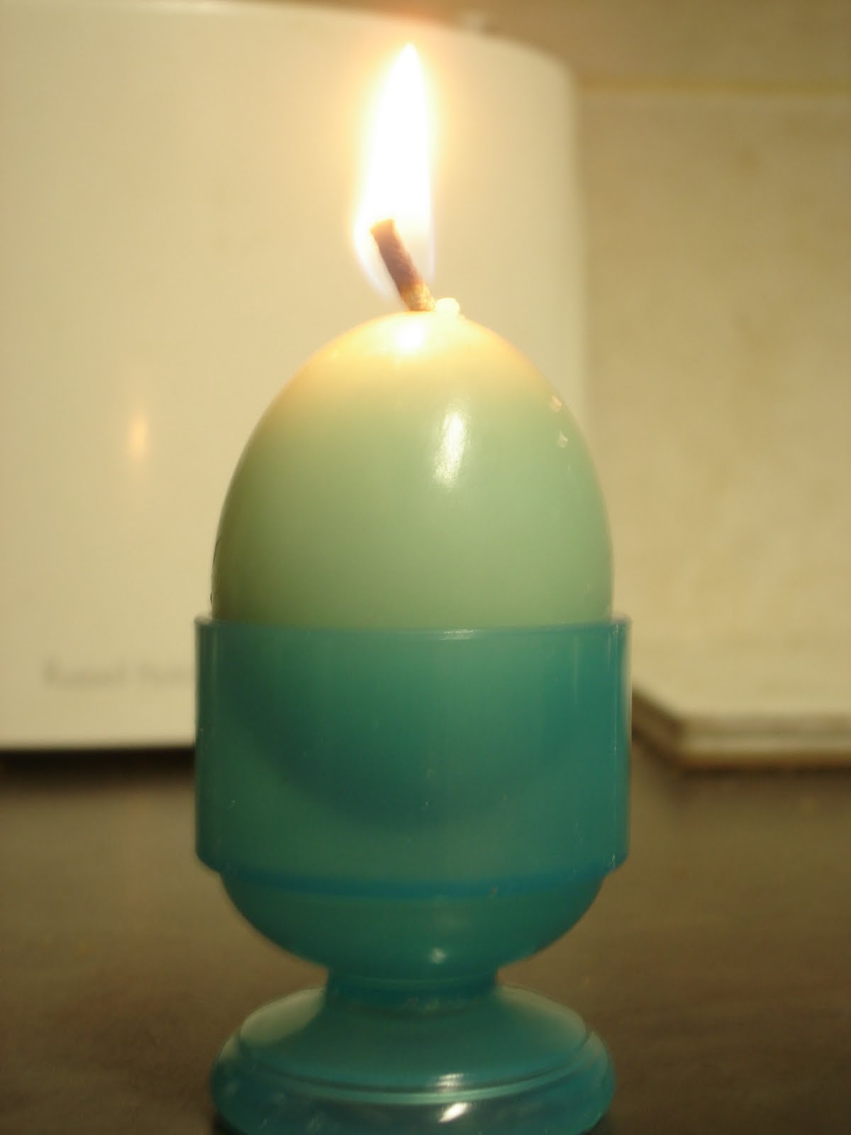 Marigolds' Loft How to Make Egg Candles this Imbolc