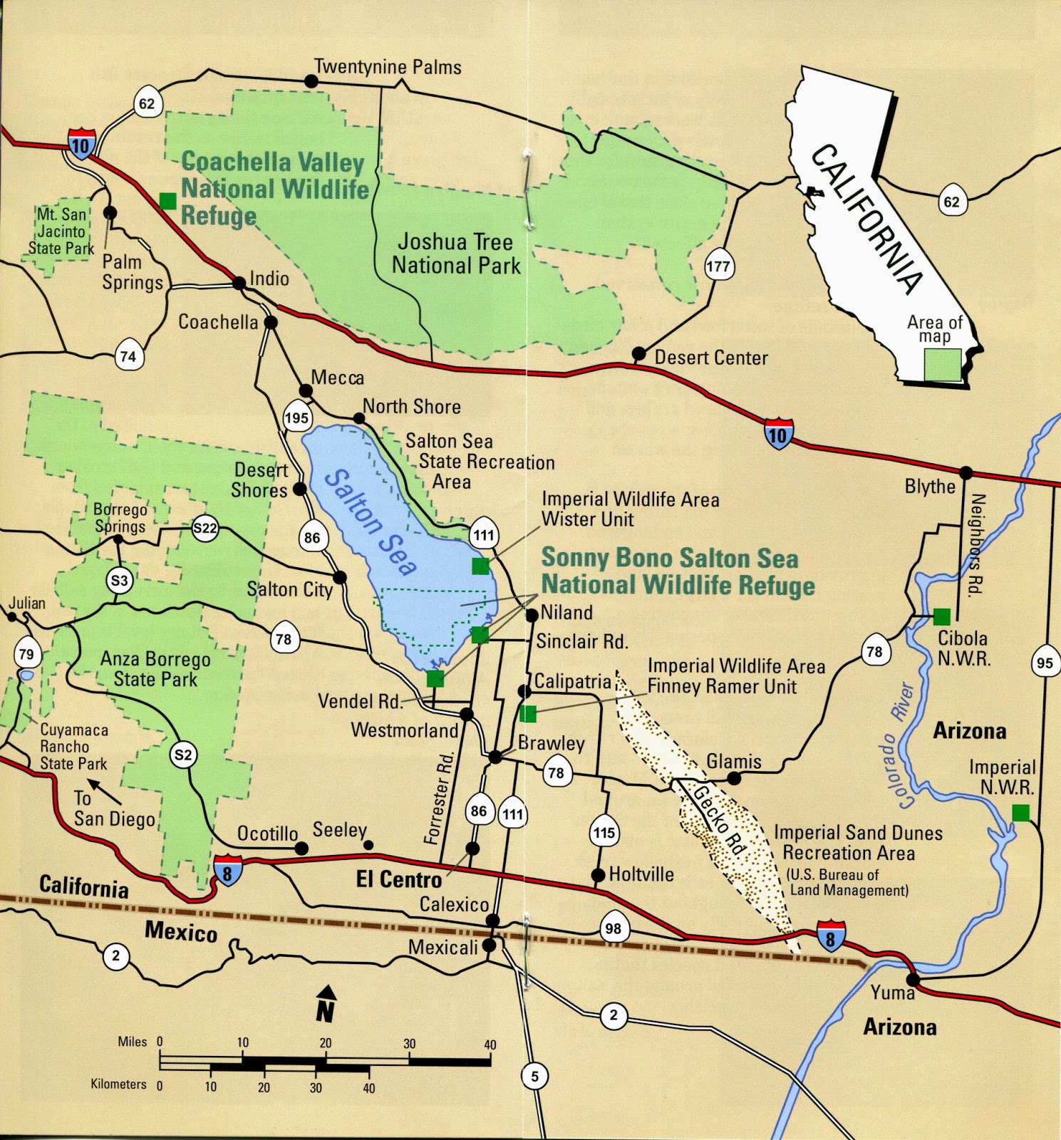 Turkey Tales and Frog Fables Salton Sea Part 3 Salton Sea