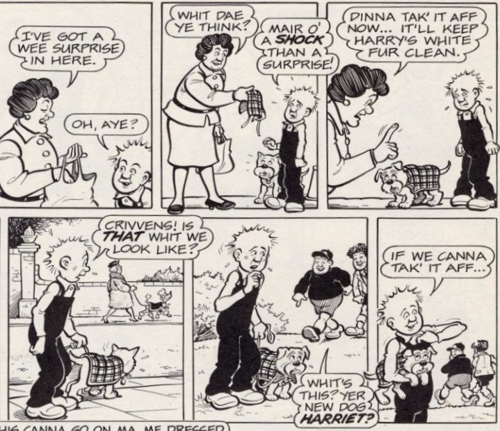 CRIVENS! COMICS & STUFF CALLING CHRIS B ROBERT NIXON'S OOR WULLIE...